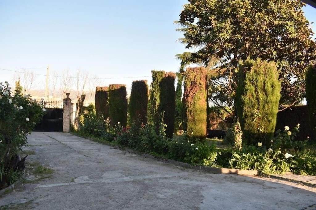 Vivienda Rural Huerta Del Medio Villa Гранада Екстериор снимка