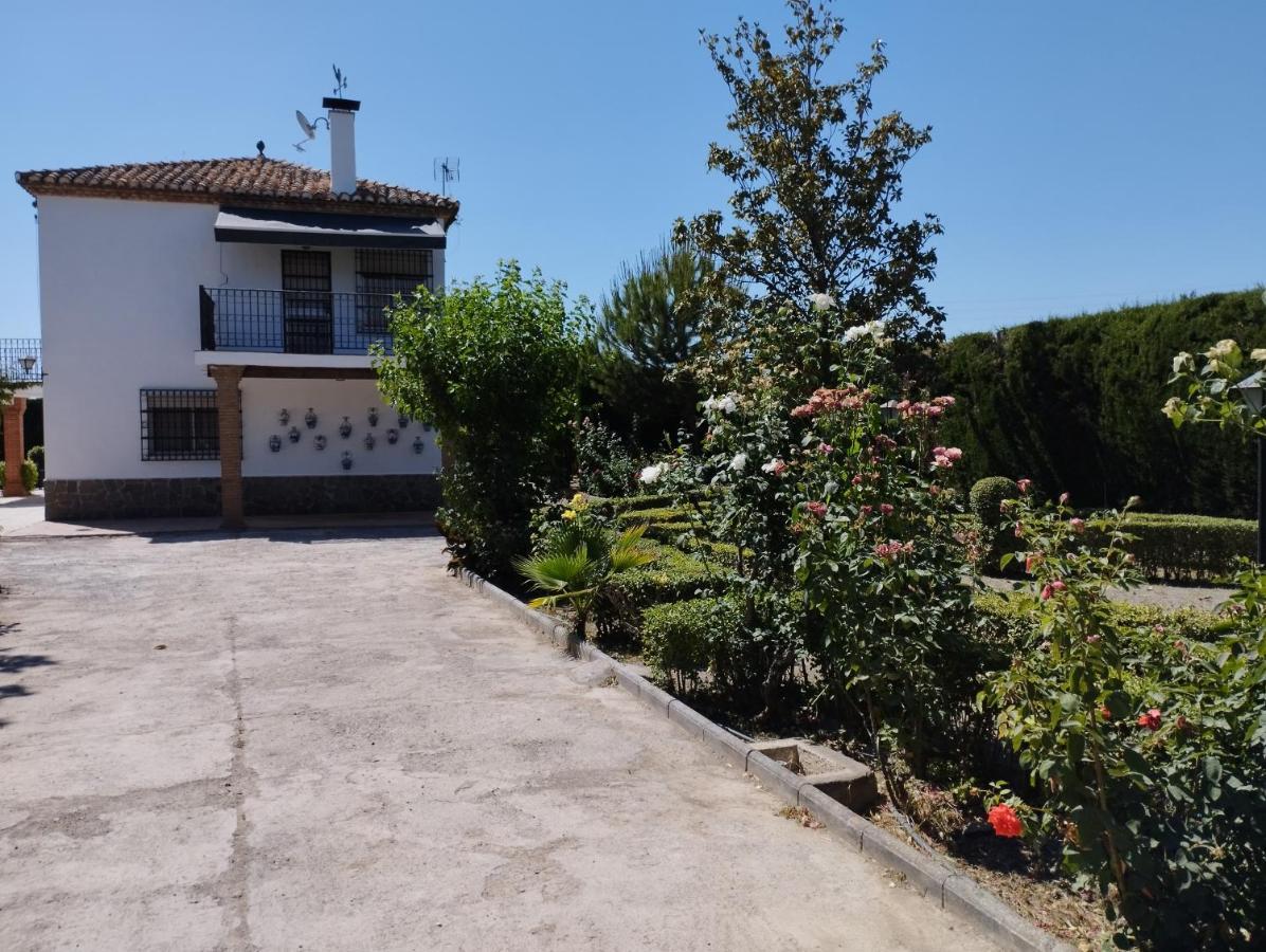 Vivienda Rural Huerta Del Medio Villa Гранада Екстериор снимка